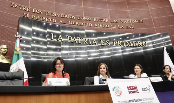 Presenta early institute prioridades de atención de la primera infancia 2024 – 2030 en el Senado de la República