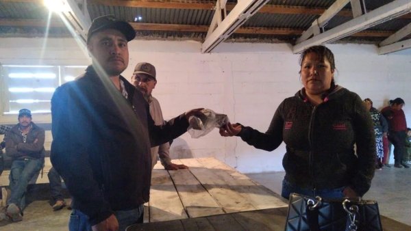 Exigen indígenas de Guadalupe y Calvo destitución de Presidenta Municipal; vulneró sus derechos humanos, acusan.