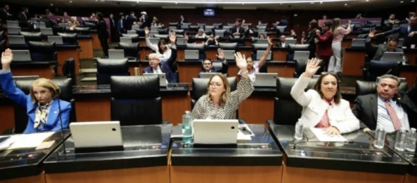 El Senado eleva a rango constitucional el programa Jóvenes Construyendo el Futuro