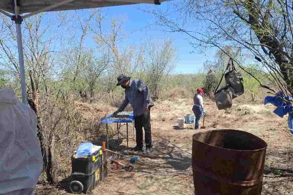 Colectivo localiza “sitio de exterminio” en Reynosa, Tamaulipas; denuncia inacción de la fiscalía