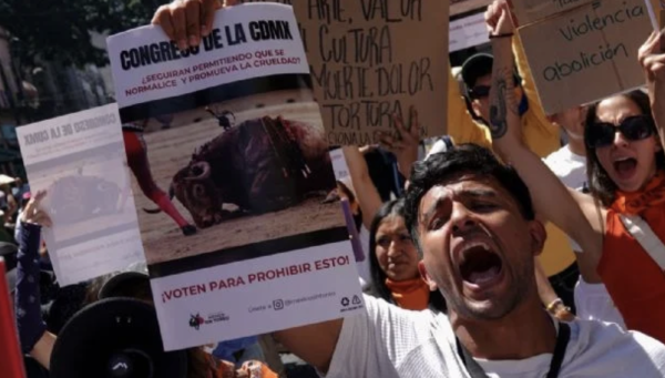 Reprograman discusión sobre la prohibición de las corridas de toros en la CDMX